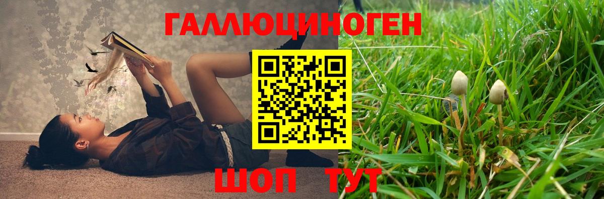 Уварово  Псилоцибиновые грибы Psilocybine cubensis  Вход с VPN 